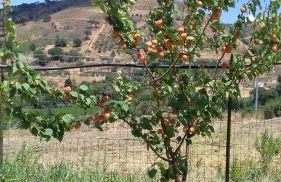 Villetta San Giovanni - Foto 19