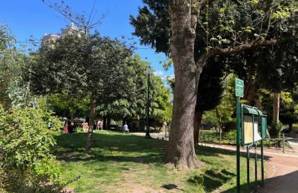 Serenity, Meditation at Notre Dame - Foto 32