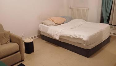 Saphire tilleul - Foto 5