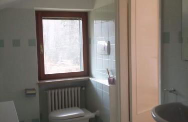 I tulipani - Foto 36