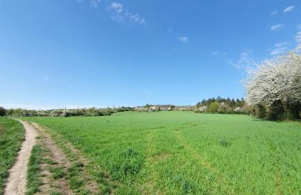 Le Gabriel - Maison spacieuse et calme près de Paris - Foto 27