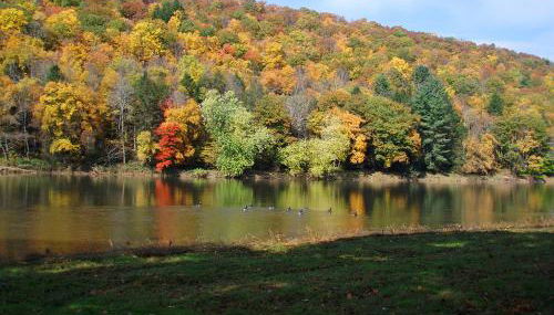 Spacious Home with Deck, Grill and Delaware River View - Foto 2