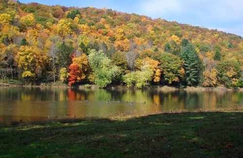 Spacious Home with Deck, Grill and Delaware River View - Foto 2