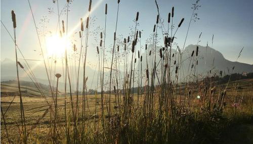 Mysciliar Apartment Tree iii - Foto 2