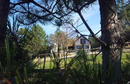 4 Seasons House - Photo 5