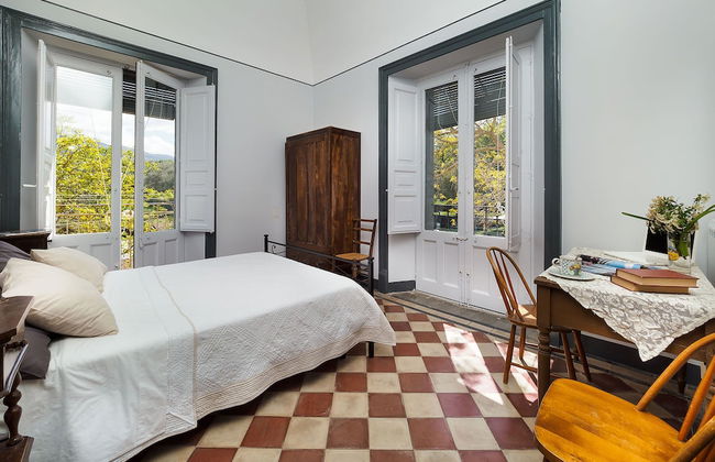 Nerello Mascalese - Foto 13