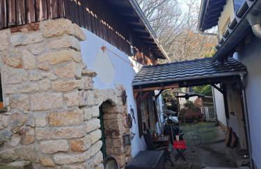 Mitten in der Natur, ganz nah bei Dresden. - Foto 21