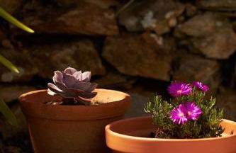 Quinta do Marmeleiro - Casa Marmeleiro - Foto 29