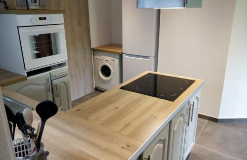 Maison des écluses Strasbourg F3 90m2 Jacuzzi Climatisation - Foto 16