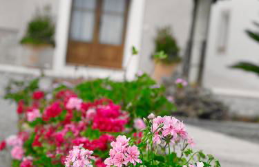 Agroturisme Can Planells - Foto 42