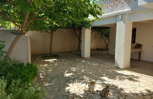 traditional village house - Foto 58