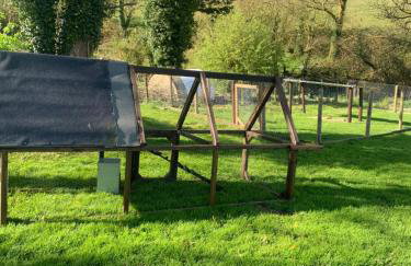 Brook lodge 2 - Photo 12