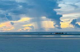 Paris Salinas - Photo 6