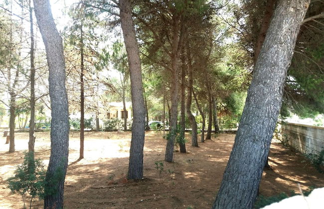 Casa Noscia - San Pietro in Bevagna - Foto 20