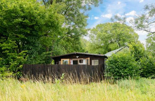 Hazel Tree Hut - Cosy Woodland Cabin with Private Hot Tub - Photo 17
