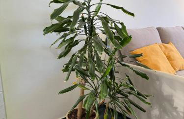 House Klarin - Foto 42