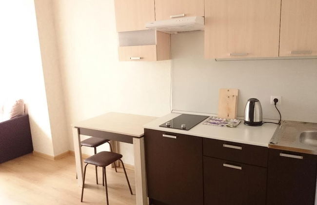 Apartment on Lysaya Gora 36-2a Green Area 5 - Photo 17