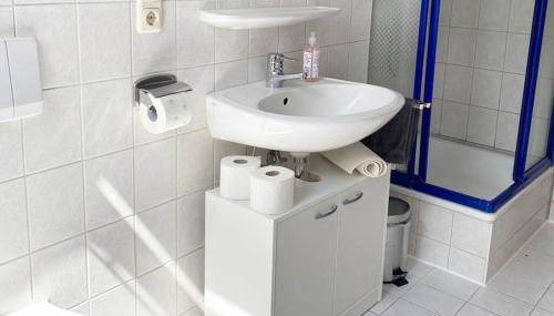 Apartment mit Dachterrasse nahe Zwickau - Foto 5