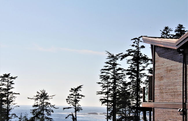 Pacific Rim Retreat - Photo 22