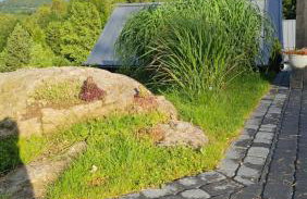 Dom w Czerwonej Dolinie Haus im Roten Tal Seidorf Sosnówka` - Foto 53