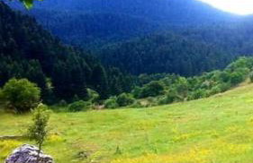 Elati Hills - Photo 37