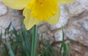 Appartement T1 climatisé en campagne - Foto 19