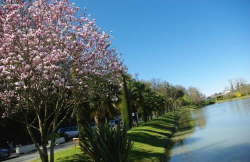Résidence Les Vignes - Photo 29