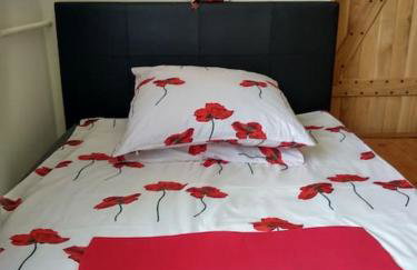 Dom z ogrodem w malowniczej okolicy Bieszczady - Foto 25