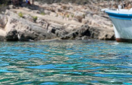 Villa Drinka Apartments - Photo 59