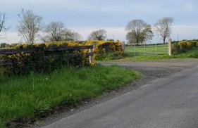 The Burrow - Foto 32