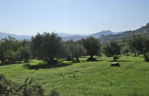 Residence Casa Torretta - Foto 30