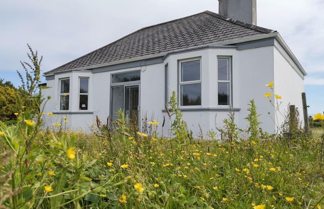 Nature Retreat - Sleeps 4 & Wild Ponies - Foto 1