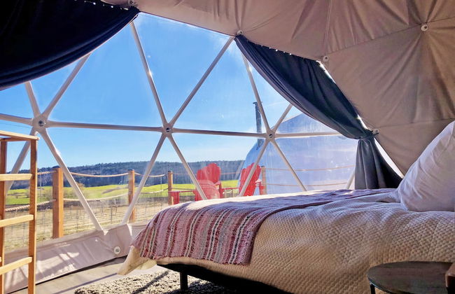 CAMPagne au Clos Sainte-Thècle - Foto 2