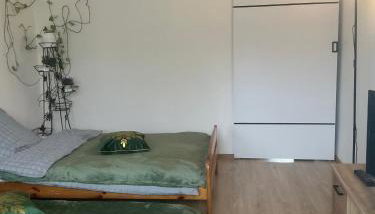 Stacja kolejowa Kraków Płaszów - Foto 2
