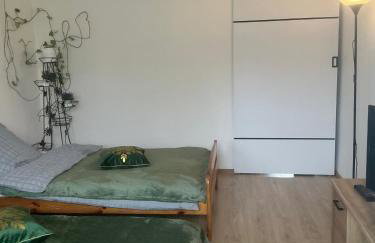 Stacja kolejowa Kraków Płaszów - Foto 2