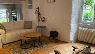 Le Cocon du lion - Foto 1