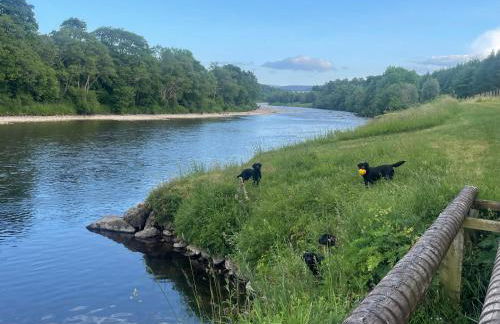 Daisy Cabin - Photo 32