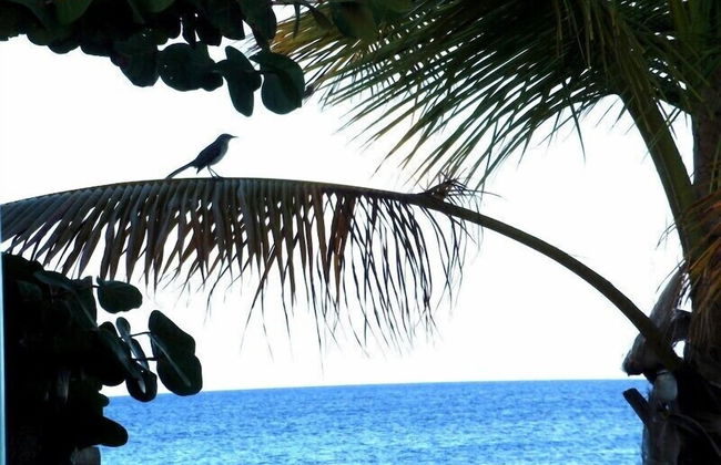 Villa Sunset Marina - Foto 15