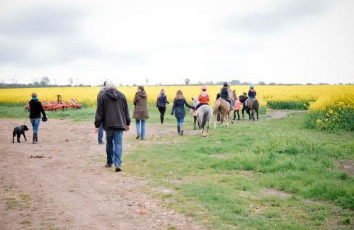 Bauernhof Koehlbrandt - Foto 79