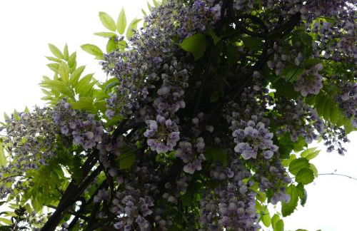 Colonna Country Home - Foto 48