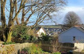 Meadowvine - Foto 42