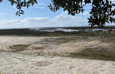 Charmant T2 rénové avec balcon, proche plage et commerces - Foto 22