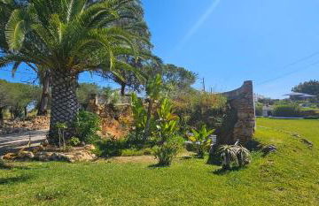 Quinta do Lagar - 10 - Foto 47