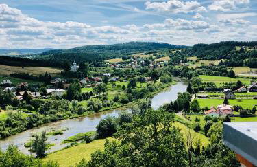 U Wrót Bieszczad - Foto 37