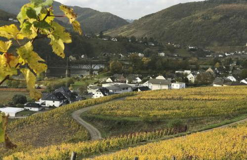 Holiday home in Bullay with sauna - Foto 44