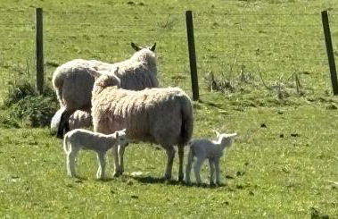 Annexe at The Chalet - A one bedroom annexe with gorgeous countryside views - Foto 54