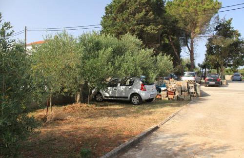 Apartments by the sea Ugljan - 8304 - Foto 13