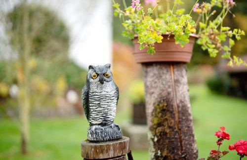 Ferienapartment Karle - Foto 24