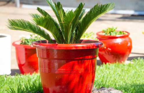 Villa Isabella - Foto 44