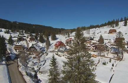Schwarzwald-Hotel Kraeutle - Foto 63